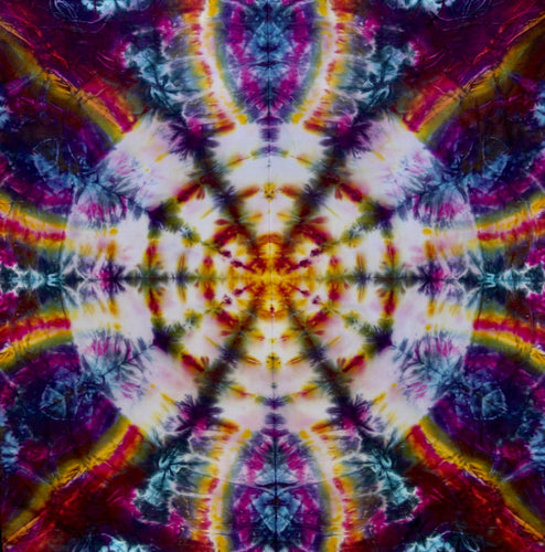 'Psychadelic Arachnid Web' art panel 22